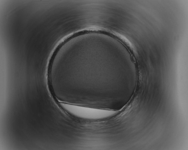 X0000094901327200712271444