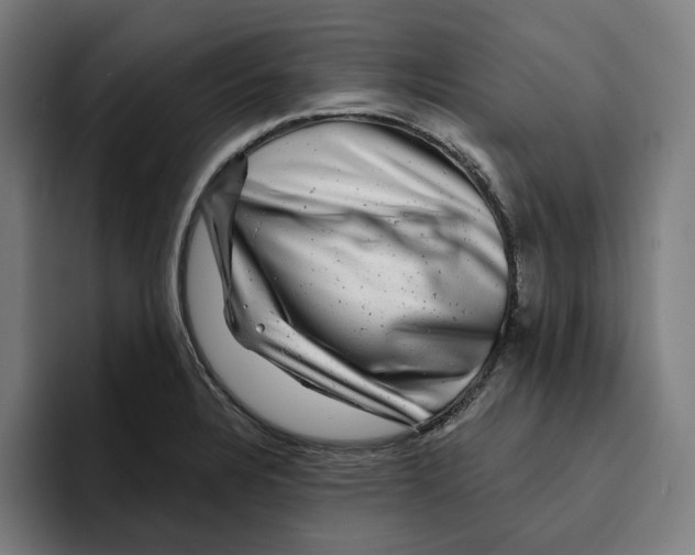 X0000094901328200712271444