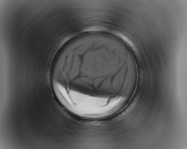 X0000094901329200712271444