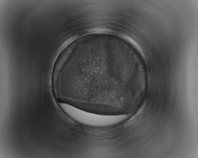 X0000094901330200712271444