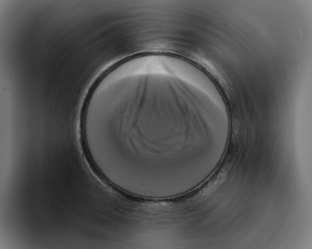 X0000094901331200712271444