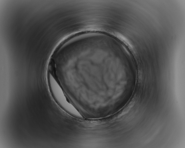 X0000094901334200712271444