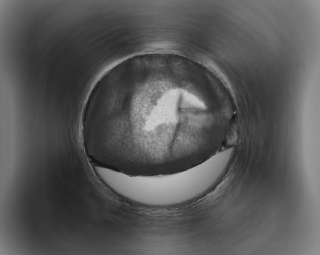 X0000094901336200712271444