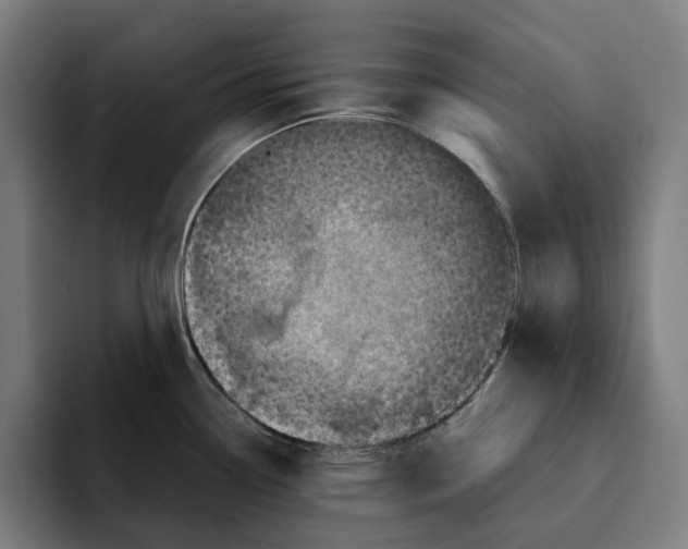 X0000094901338200712271445