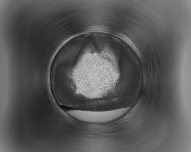 X0000094901339200712271445