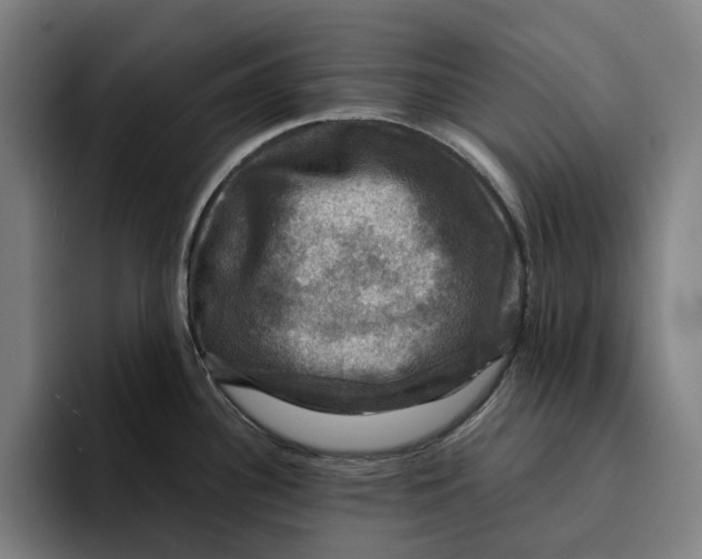 X0000094901340200712271445