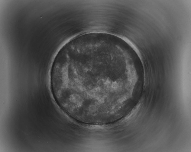 X0000094901341200712271445