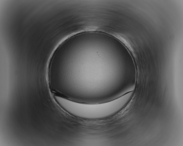 X0000094901342200712271445