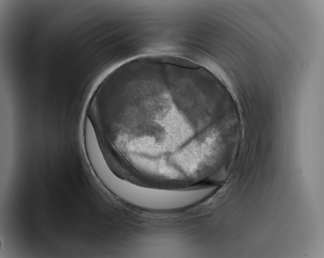 X0000094901344200712271445