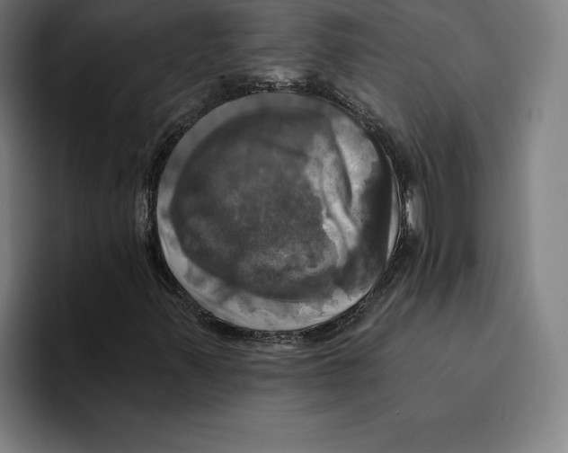 X0000094901347200712271444