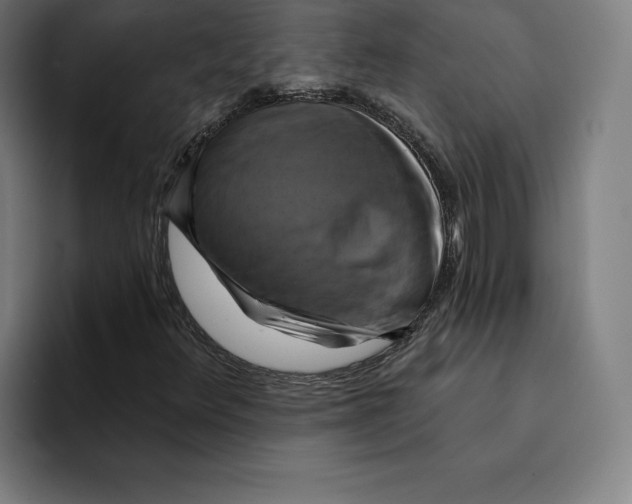 X0000094901348200712271444