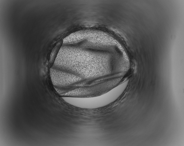 X0000094901349200712271444