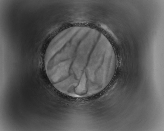 X0000094901350200712271444