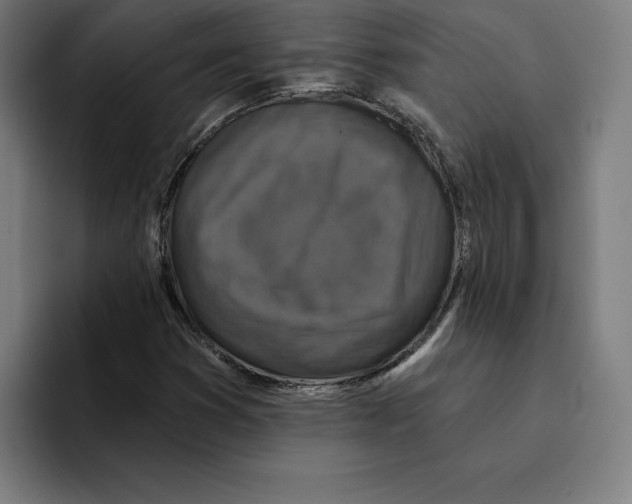 X0000094901353200712271444