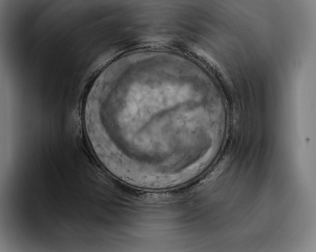 X0000094901354200712271444