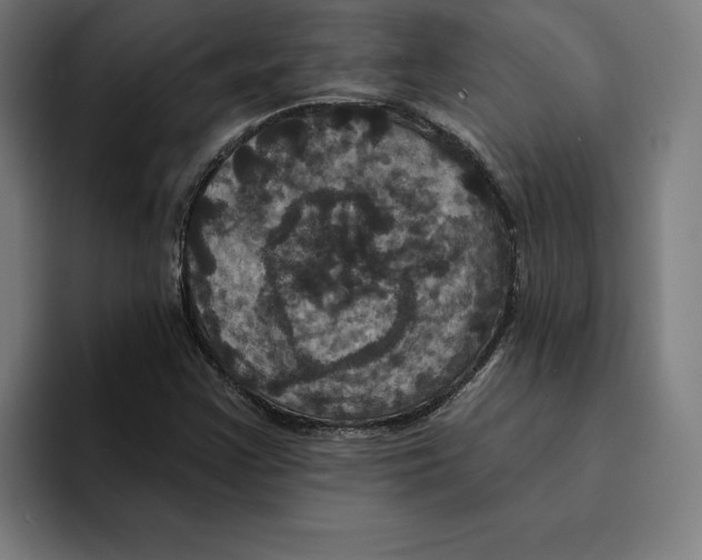 X0000094901355200712271444