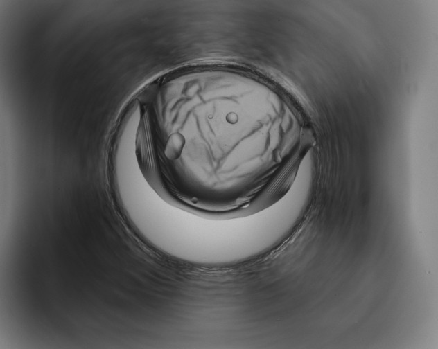 X0000094901356200712271444