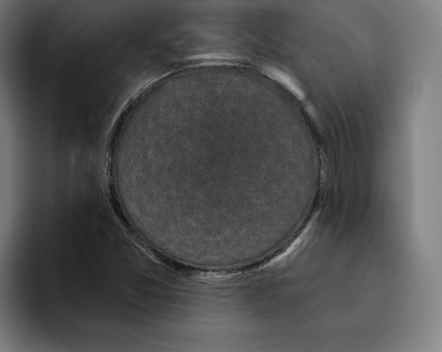 X0000094901357200712271444