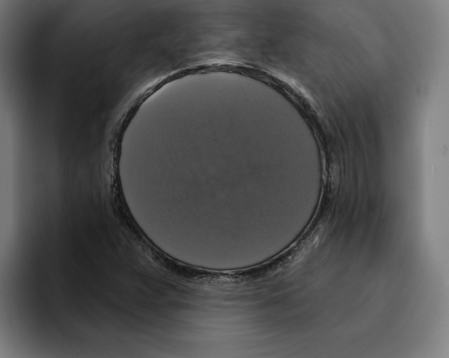 X0000094901359200712271444