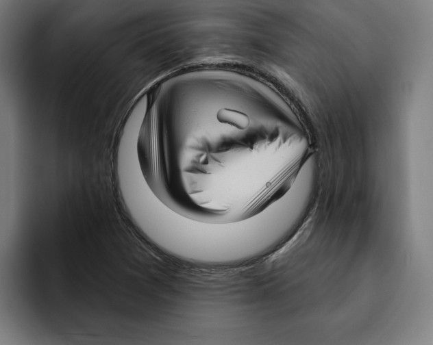 X0000094901361200712271444