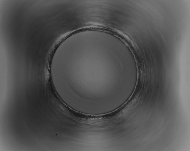 X0000094901363200712271444