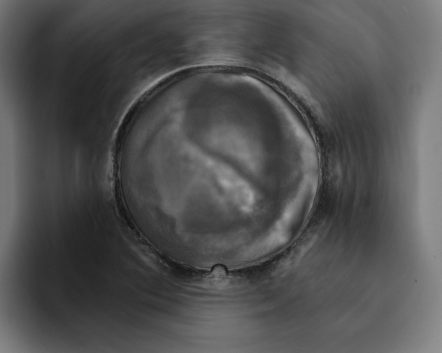 X0000094901364200712271444