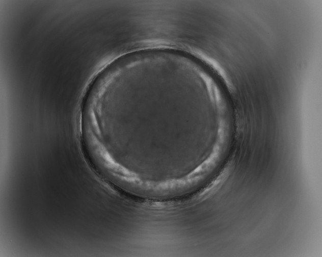 X0000094901365200712271444