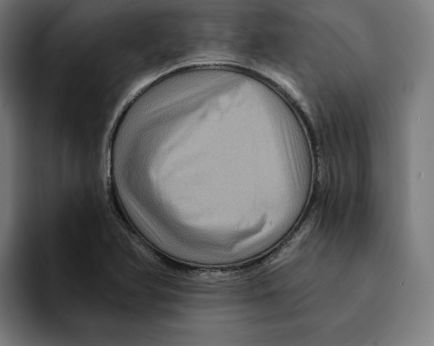 X0000094901366200712271444