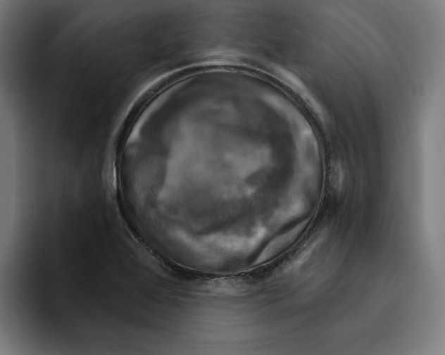 X0000094901368200712271444