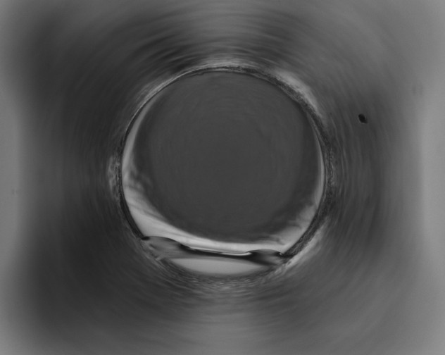 X0000094901369200712271444