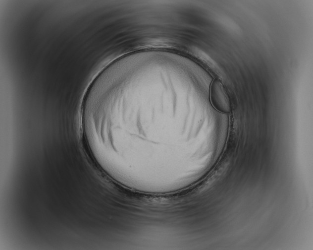 X0000094901370200712271444