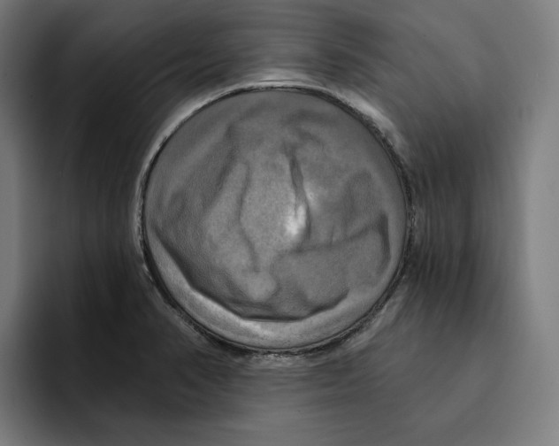 X0000094901374200712271444