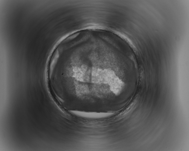 X0000094901375200712271444