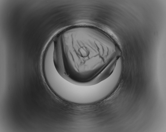 X0000094901376200712271444