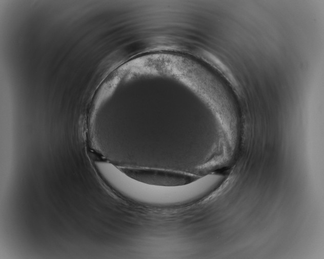 X0000094901377200712271444