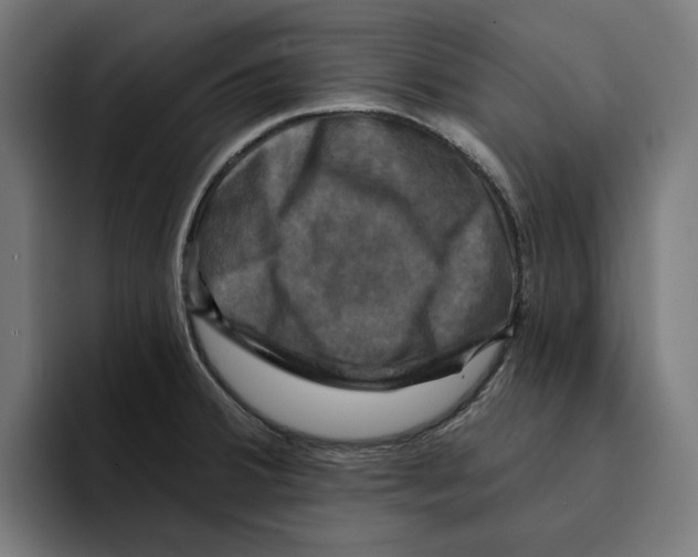 X0000094901380200712271444