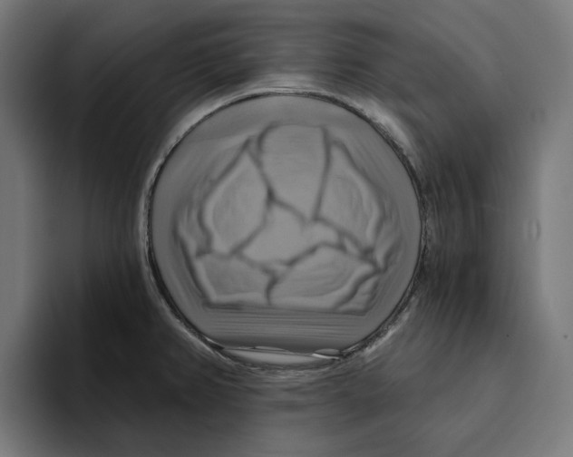 X0000094901382200712271443