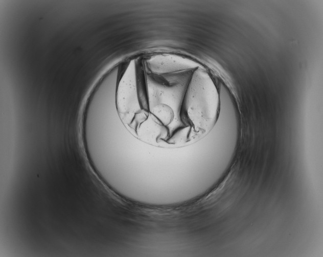 X0000094901384200712271443