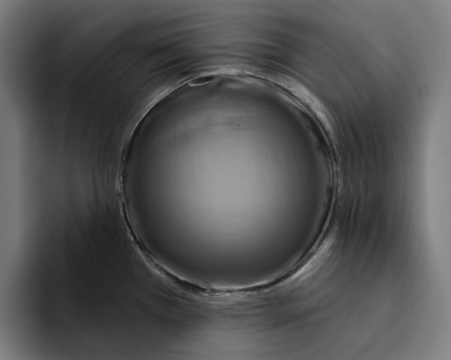 X0000094901385200712271443