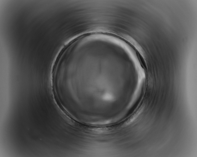 X0000094901388200712271443