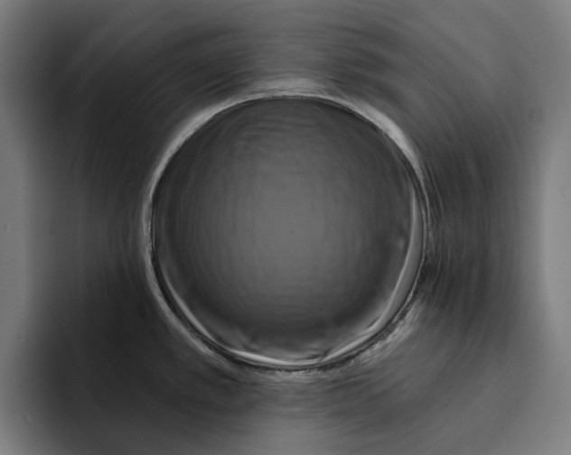 X0000094901389200712271443