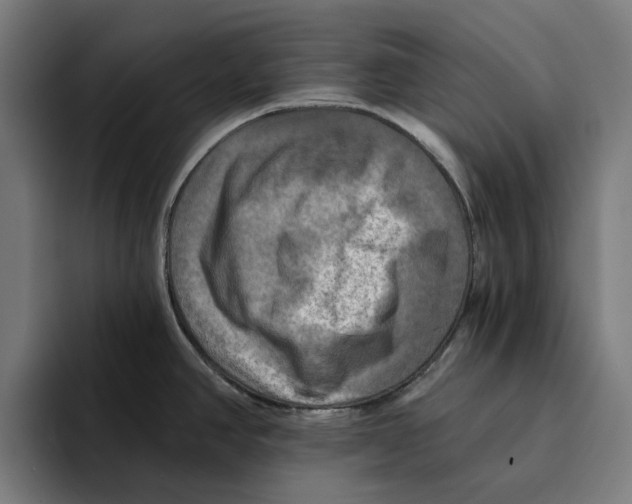 X0000094901390200712271443