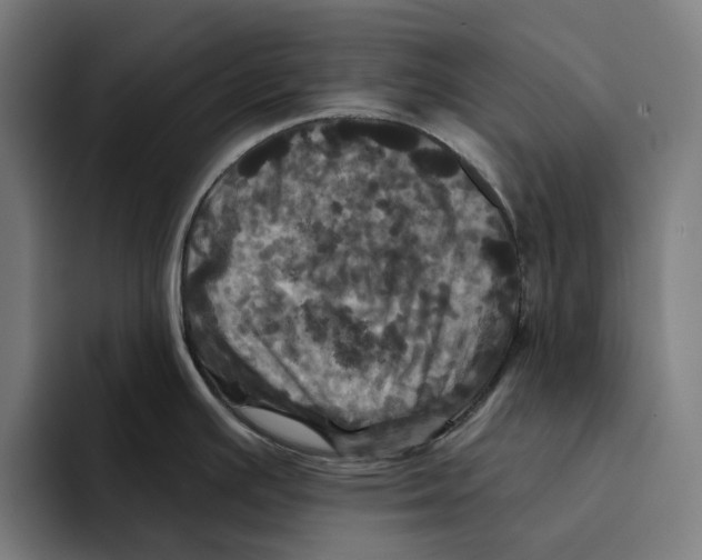 X0000094901391200712271443