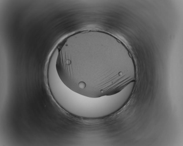 X0000094901392200712271443