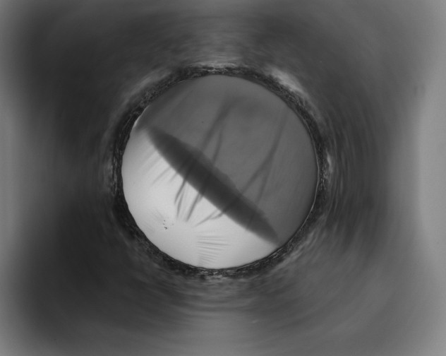 X0000094901398200712271443