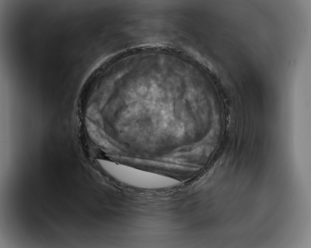 X0000094901400200712271443