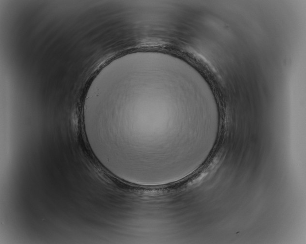 X0000094901401200712271443