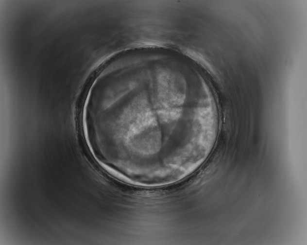 X0000094901404200712271443