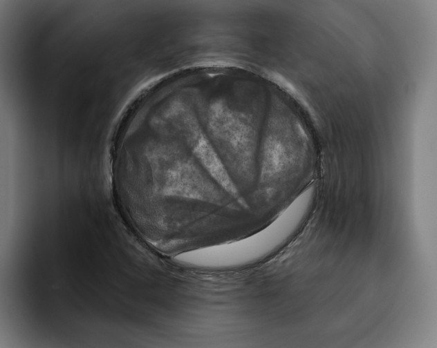 X0000094901408200712271443