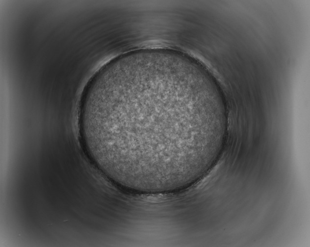 X0000094901410200712271443